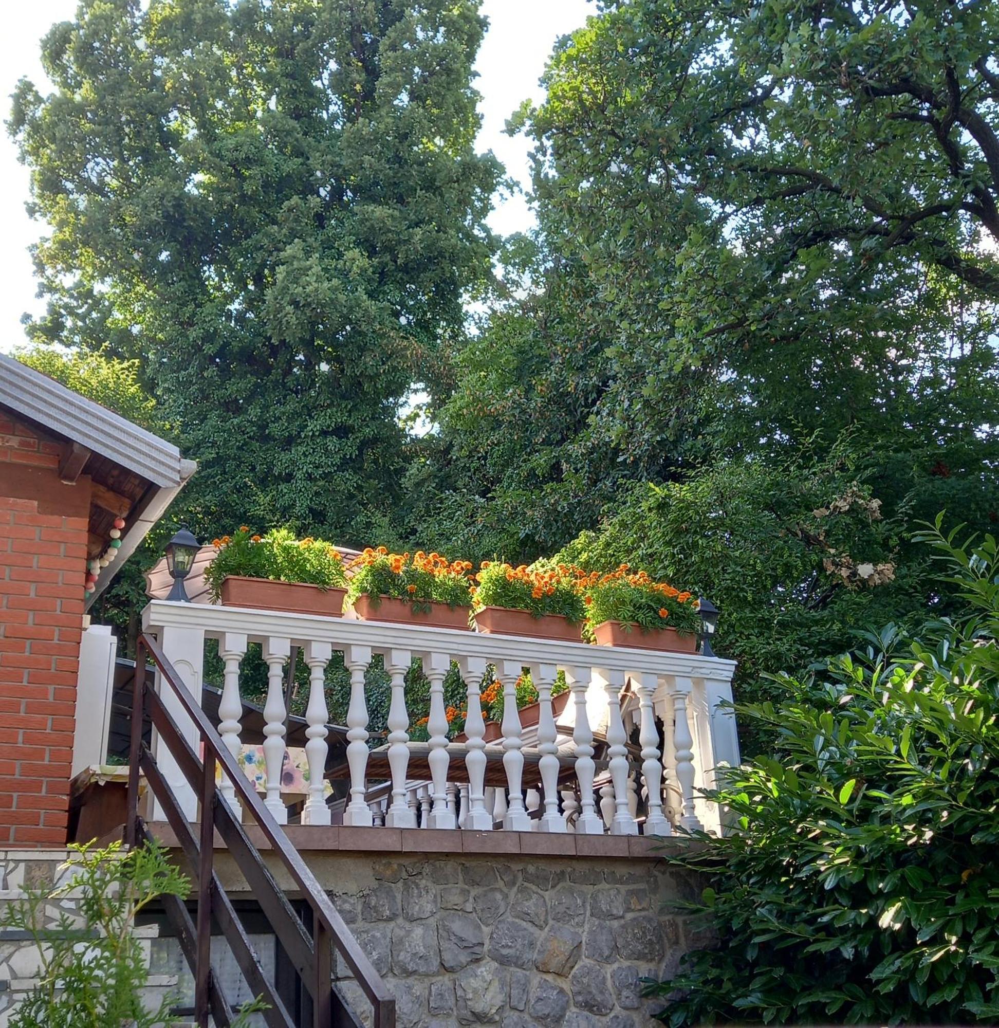 Villa Maria Οπατία Εξωτερικό φωτογραφία